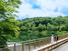 湖面に映る豊かな緑と澄んだ空が、季節の美しさを感じさせてくれます。