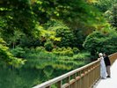 深い緑の中を自然散策