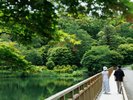 蓼科湖の静かな湖畔を散策し、豊かな自然とともに過ごす贅沢な時間