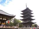 興福寺までは徒歩約7分。