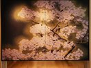 【SAKURA LOUNGE】