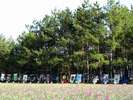 【砂浜美術館】らっきょうの花が見頃の11月には潮風のキルト展が開催されます。