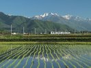 ホテル周辺の景観/田園を走る大糸線