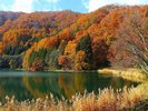 ホテル周辺の景観/中綱湖の秋