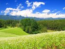 ホテル周辺の景観/春の中山高原