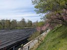 ホテル周辺の景観/大王わさび農場