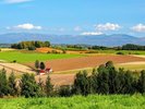 【美瑛の秋】雄大な十勝岳と美しい田園風景