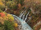 【白ひげの滝】晩秋には紅葉に包まれれた渓谷の風景に。