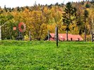【麓郷の森】「北の国から」ロケ地。秋は黄金色に色づきフォトジェニック。