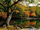 【鳥沼公園】湖面に写る紅葉を観ながら静かに散策できるスポット。