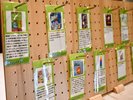 人気のボードゲームが多数!充実したホテル滞在を♪