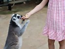 �T�t�@���[�p�[�N�ӂꂠ���̌�