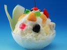 【白熊】写真提供:むじゃき