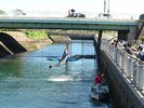 GR:水族館前のイルカショー