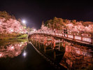 【周辺:春】高田城観桜会