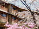 【外観】桜が満開の春の風景)