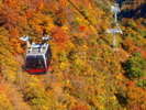 秋の絶景!【谷川岳】紅葉