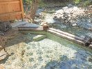 【2021年7月リニューアル!】<せせらぎの湯>谷川の清流に面した混浴露天風呂(女性専用時間あり)