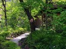 【庭園】四季折々の顔を覗かせる庭園(初夏の風景)