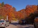 【奥利根水源の】秋には見事な紅葉を楽しめる。