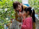 【モギトーレ みなかみフルーツランド】フルーツ狩りは「食べ放題コース」もあります!
