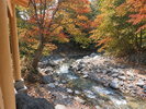 【紅葉】せせらぎの湯からの景色