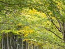自然に囲まれた敷地