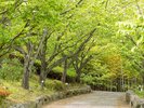 自然に囲まれた敷地