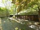日が差し込む中庭