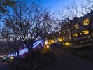 イルミネーション(11月〜2月頃)