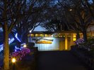 イルミネーション(11月〜2月頃)