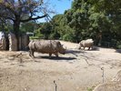 のんほいパーク