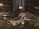 �e�������ʁy�����z�������W�F�b�g�o�X�t��