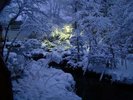 雪化粧の『陽竜庭』