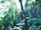 森の空中散歩