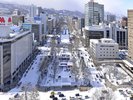 さっぽろ雪まつり(大通公園)