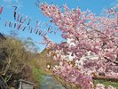 定山渓温泉街(春)