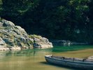 [�쉺��]�R�[�X���ɂ͐�̗���̑����u���v�ƁA���ꂪ�Â��ȁu���v���������܂��B