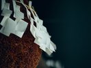 [����/���b��]����ˁu���B�R�������v�͕����̖����S�I�ɐ��肳��Ă���܂��B