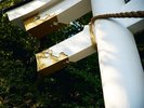 [����/��o�R�_��]�L���ȗ΂��L�����o�R�ɂ���_�ЂŁA�����O�Ђ̈�Ђł�����܂��B