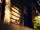 [����/��o�R�_��]���R�Ɉ͂܂ꂽ��i�̃p���[�X�|�b�g�ł��B