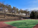 [DOG PARK]�΂Ɉ͂܂ꂽ���R�L���Ȋ��ŁA�v��������V��ł��������܂��B