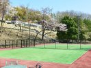 [DOG PARK]�t�ɂȂ�ƁA����]�݂Ȃ��爤���Ƃ̎��Ԃ����y���݂��������܂��B