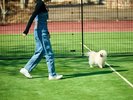 [DOG PARK]�����ƂɎd�؂��Ă���̂ŁA ������C�ɂ����V�Ԃ��Ƃ��ł��܂��B