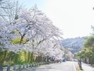 [����/�t]���w�薼���ł�����̖����ɐ��񑫂����^�т��������B