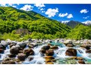 太田切川の水辺より