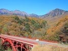 【東沢大橋】秋の紅葉スポット!例年10月中旬頃が見頃