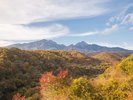 【紅葉】八ヶ岳エリアの紅葉は1,000mの標高差があるので10月中旬〜11月中旬頃まで長く楽しめます
