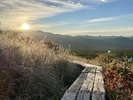 【美し森】赤岳の東尾根の一部が孤立してできた標高1542メートルの小高い丘