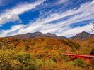 【東沢大橋】秋の紅葉スポット!例年10月中旬頃が見頃